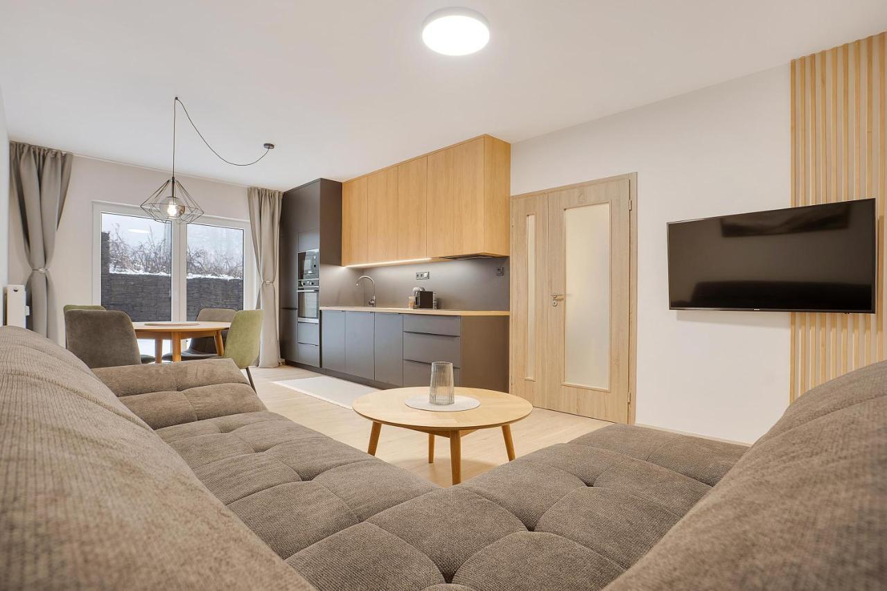 Krusnohorske Strane Apartment Loučná pod Klínovcem Exterior foto