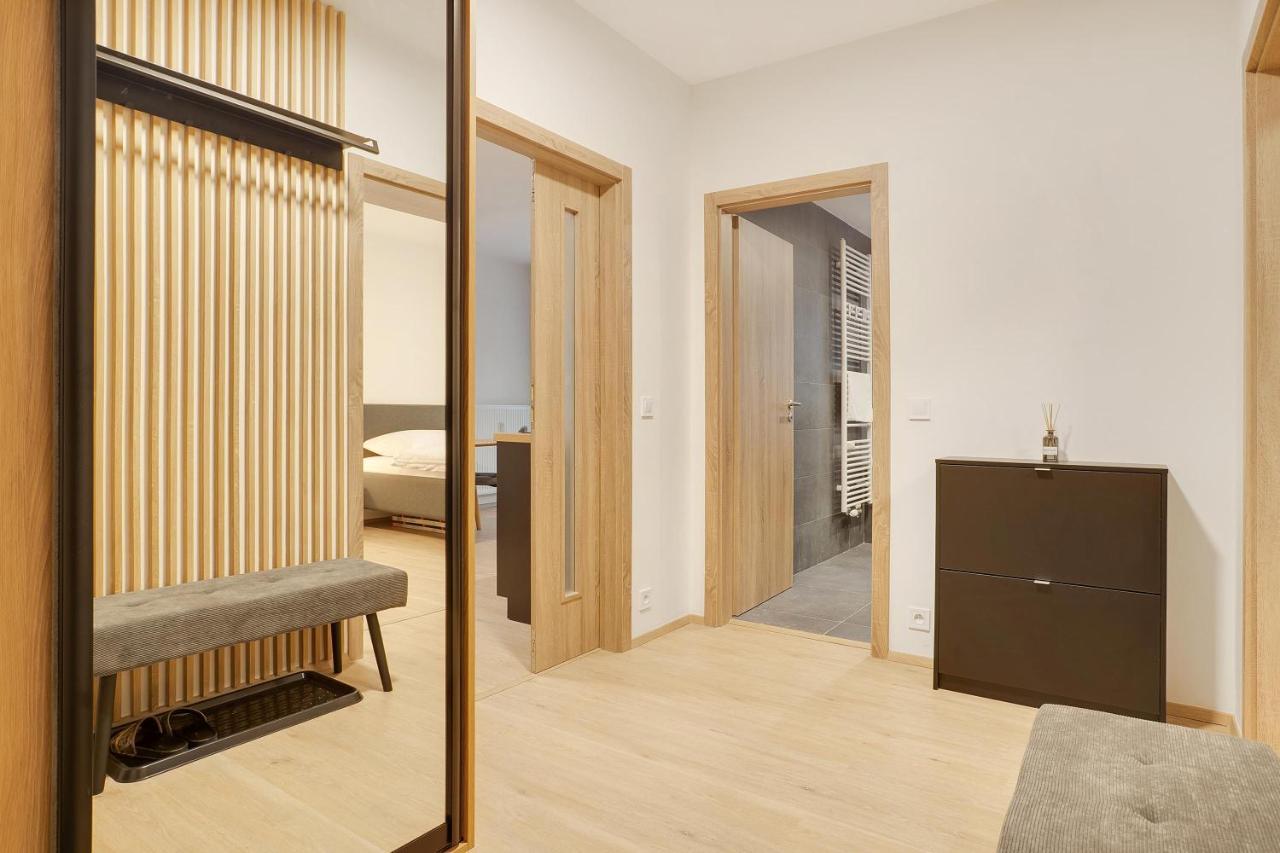 Krusnohorske Strane Apartment Loučná pod Klínovcem Exterior foto