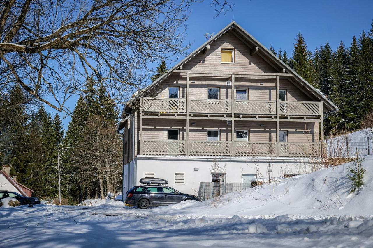 Krusnohorske Strane Apartment Loučná pod Klínovcem Exterior foto
