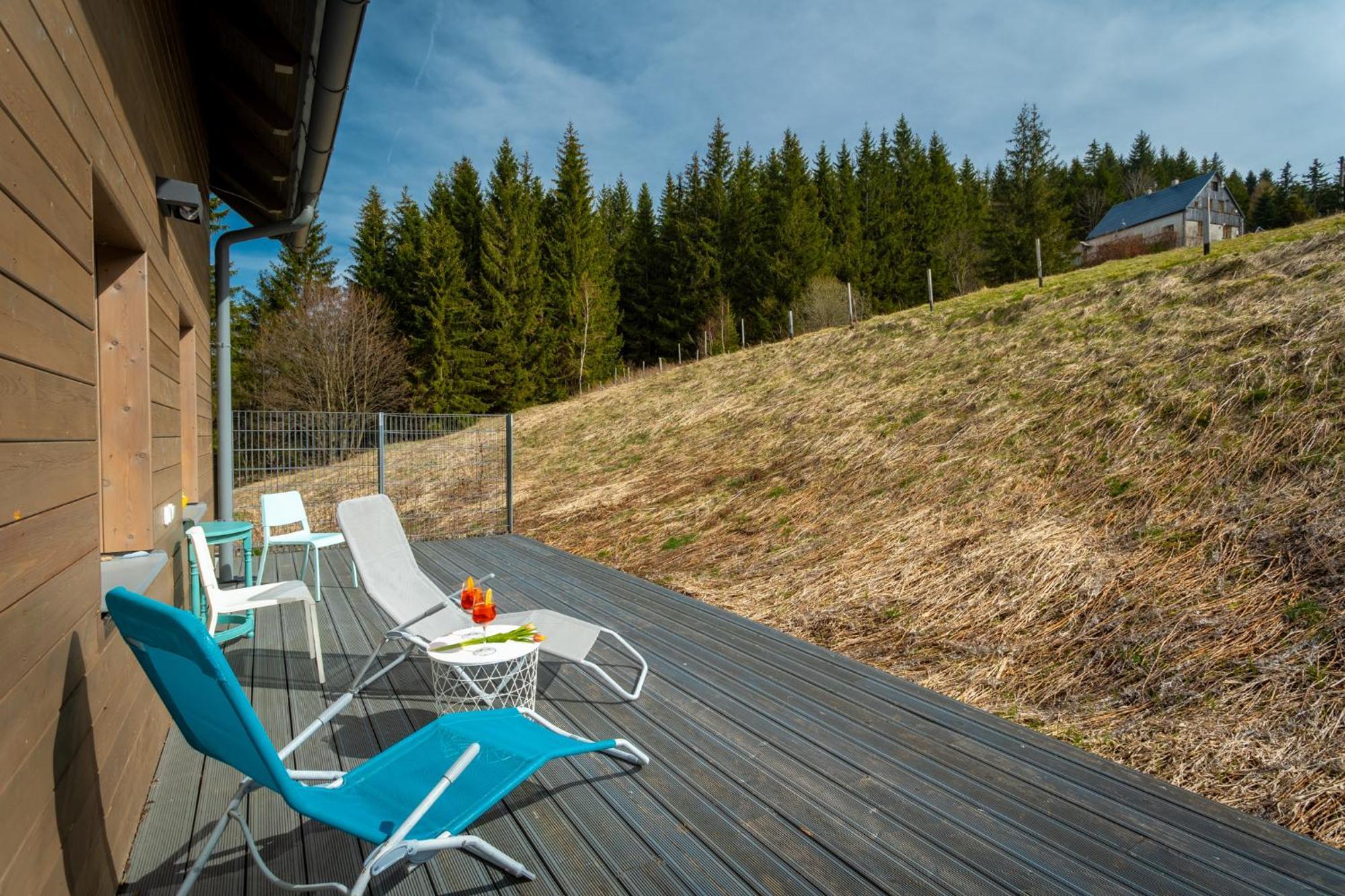 Krusnohorske Strane Apartment Loučná pod Klínovcem Exterior foto